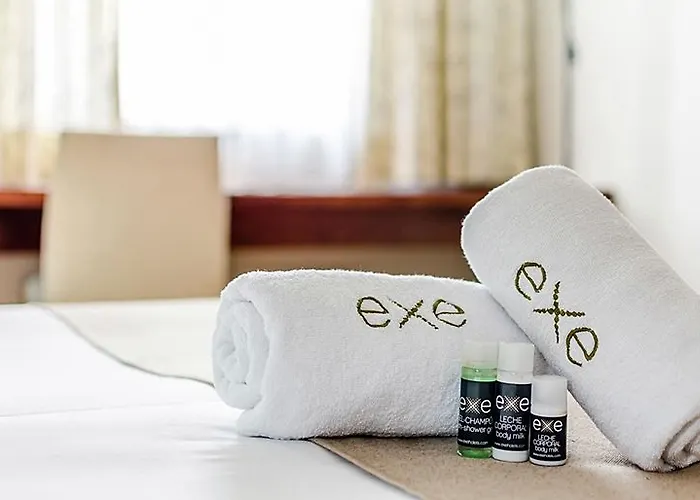 Exe Reina Isabel Hotel